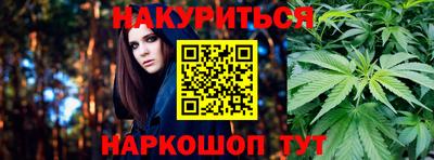 индика Ставрополь