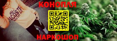 индика Ставрополь