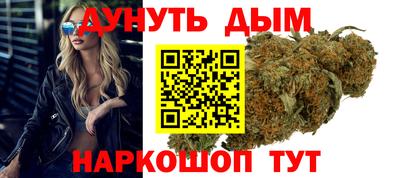 индика Ставрополь