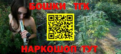 индика Ставрополь
