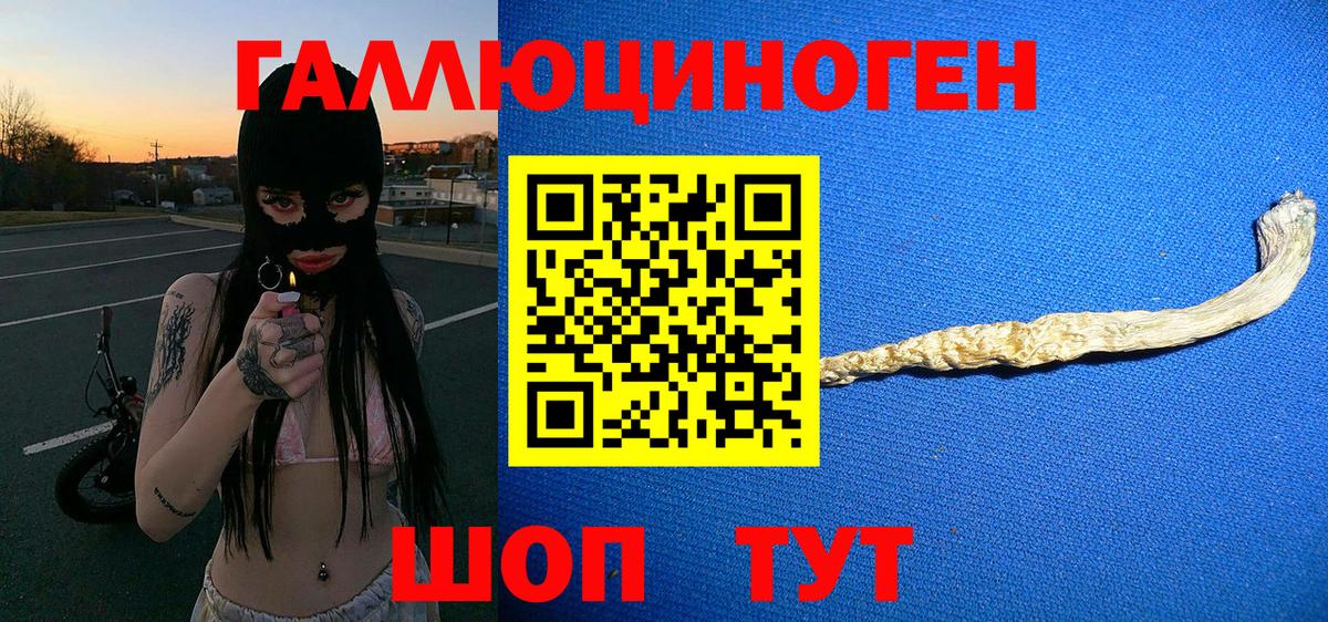 Псилоцибиновые грибы Psilocybe Черкесск